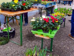 Markt 26.03.2023