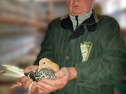 Markt 26.03.2023