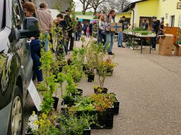 Markt 30.04.2023