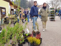 2023.04.30 Markt