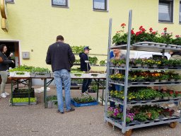 Markt 30.04.2023