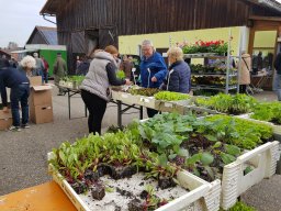 Markt 30.04.2023