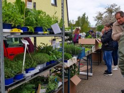 Markt 28.04.2024