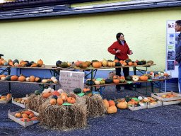 2024.09.29 Markt