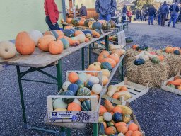Markt 29.09.2024
