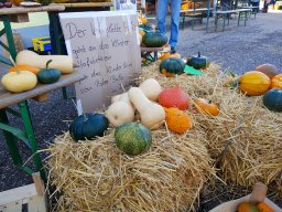 Markt 29.09.2024