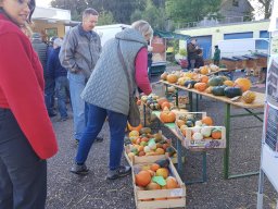 Markt 29.09.2024