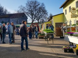 Markt 30.03.2025
