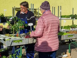 Markt 30.03.2025
