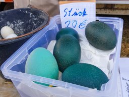 2025.03.30 Markt