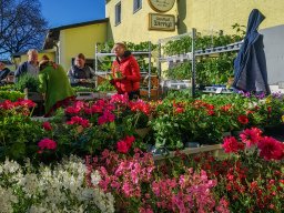 Markt 27.04.2025