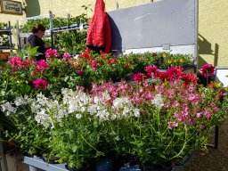 Markt 27.04.2025