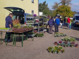 Markt 28.09.2025