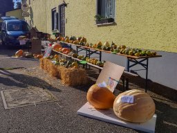 Markt 28.09.2025