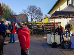 Markt 26.04.2026