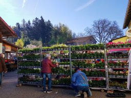 Markt 26.04.2026