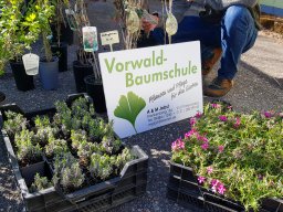 Markt 26.04.2026