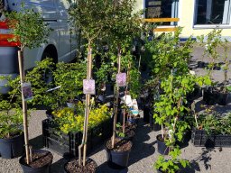 Markt 26.04.2026