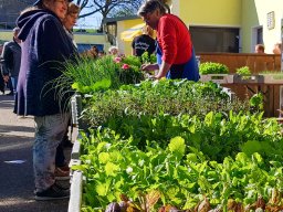 Markt 26.04.2026