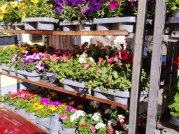 Markt 26.04.2026
